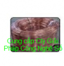 Cáp đồng trần